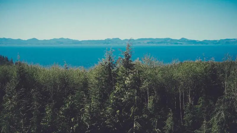 IA Copywriting pour l'OFM : Écrire des Textes qui Vendent